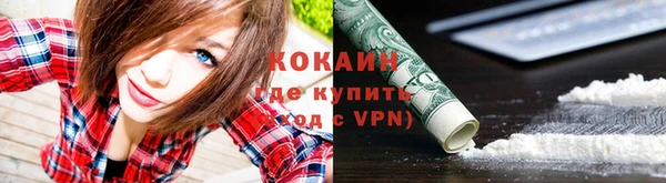 гашик Нестеровская