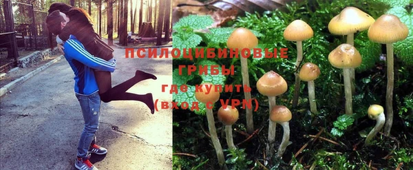 соль курить ск Каменка