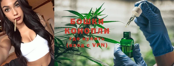 jwh Карпинск